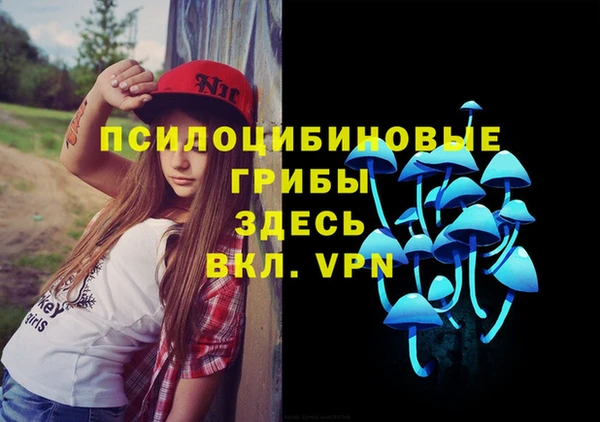 бутират Надым