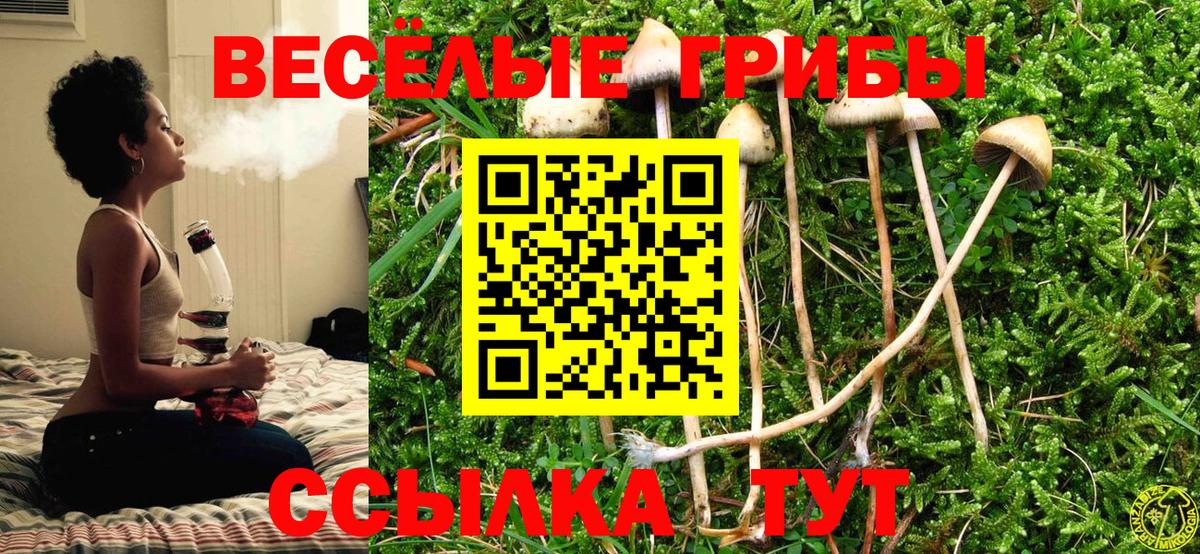 Абинск  Галлюциногенные грибы MAGIC MUSHROOMS  Псилоцибиновые грибы Cubensis  Вход с VPN 
