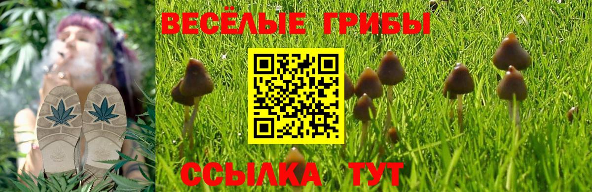 ГАШ Абинск