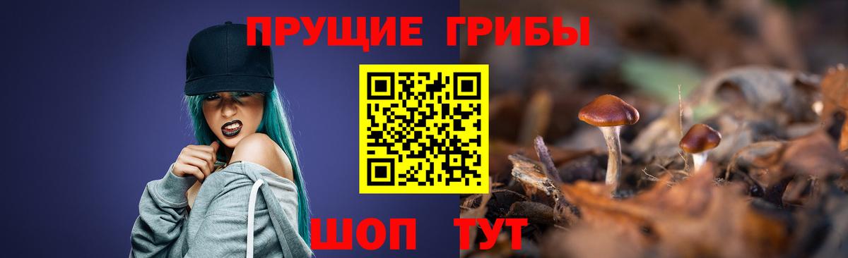 Псилоцибиновые грибы прущие грибы Абинск